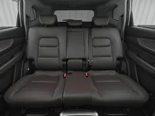 Chery  22
