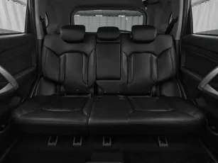 Chery  20