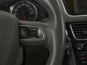 Audi  13