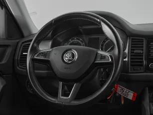 Skoda  10