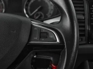Skoda  12