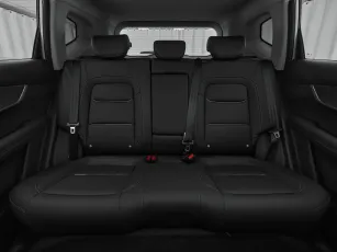 Chery  20