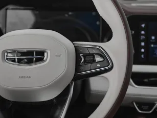 Geely  13