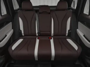 Geely  21