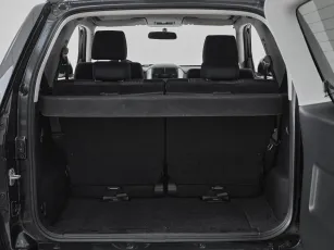 Suzuki  19