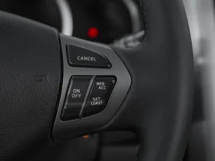 Suzuki  13