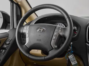 Hyundai  10