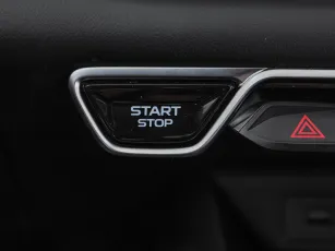 Geely  19