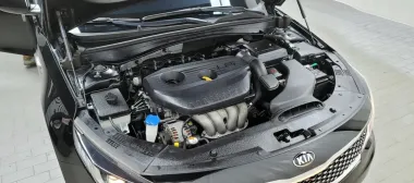 Kia  6