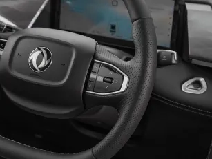 Dongfeng  13