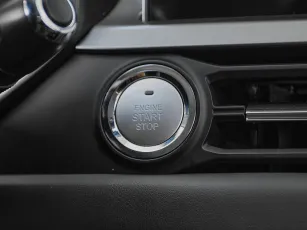 Chery  11