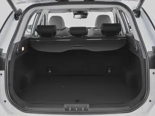 Chery  21