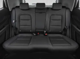 Chery  20