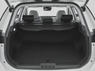 Chery  25