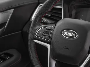 SWM  12