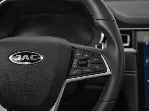 JAC  13