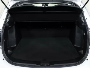 Suzuki  16
