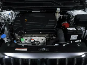 Suzuki  7