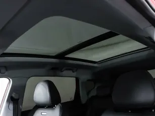 Chery  20