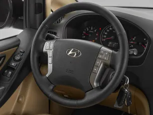Hyundai  10