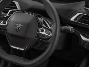 Peugeot  13