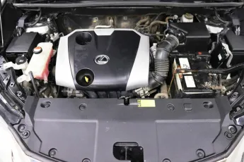 Lexus  7