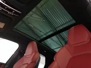 Porsche  20