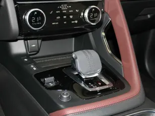 Jaguar  11
