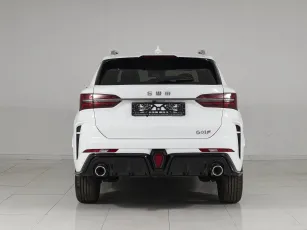 SWM  5