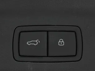 Li Auto (Lixiang)  25