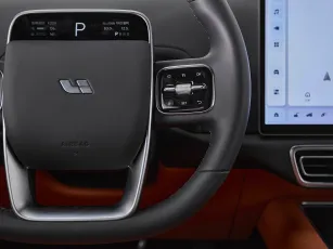 Li Auto (Lixiang)  13