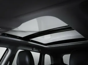 Suzuki  19