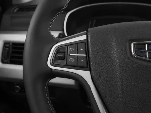 Geely  11