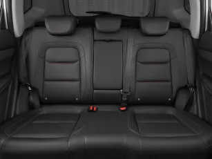 Chery  21