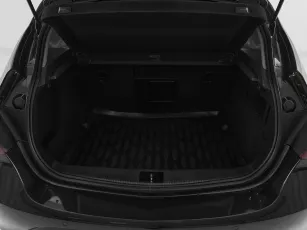 Opel  20