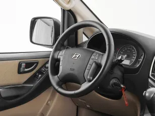Hyundai  10