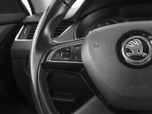 Skoda  10