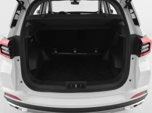 Chery  20