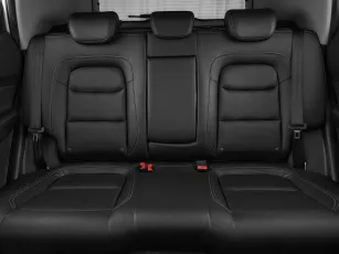 Chery  20