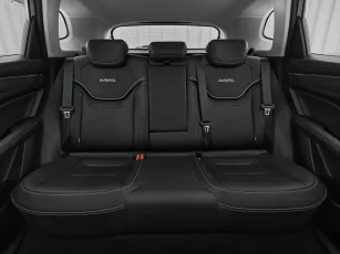 Haval  20