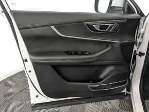 Chery  20