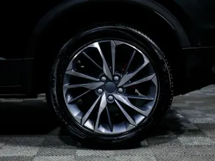 Belgee  5